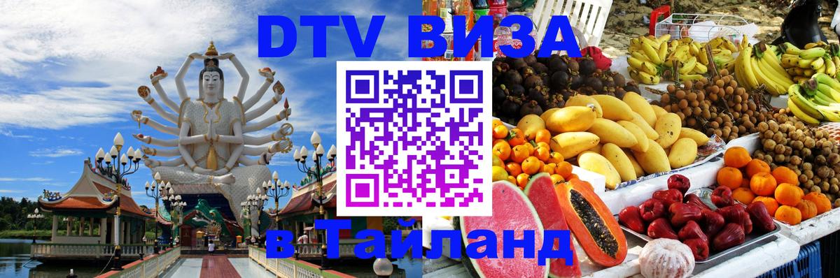 Оформление DTV визы под ключ: стоимость и тарифы, только загранпаспорт - 